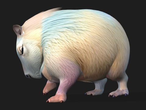 Capivara-A4 Modelo 3D