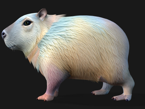 Capivara-A4 Modelo 3D