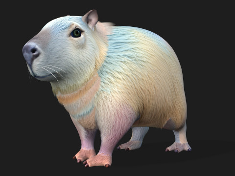 Capivara-A4 Modelo 3D
