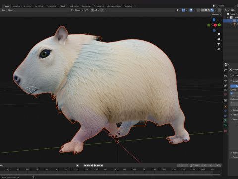 Capivara-A4 Modelo 3D