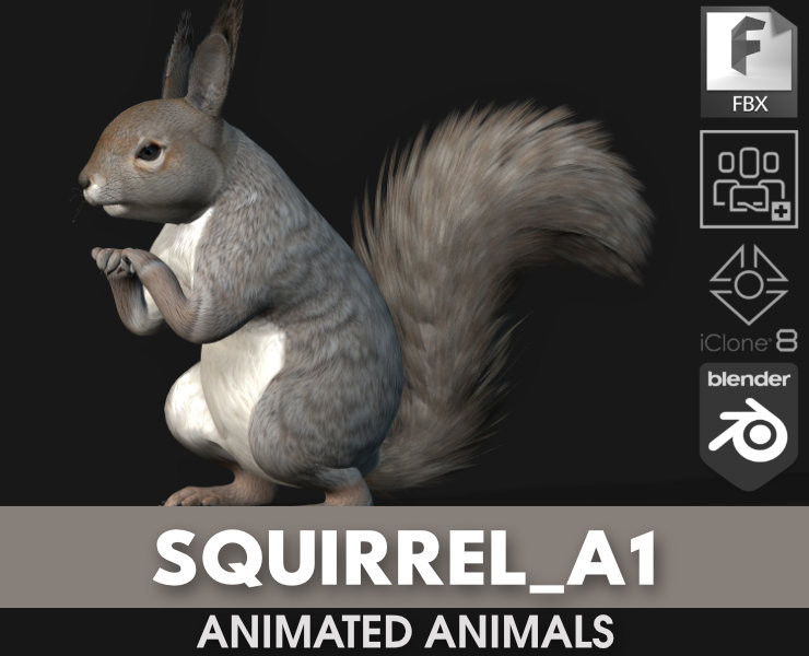 Squirrel-A1 3D Model .c4d .max .obj .3ds .fbx .stl .blend