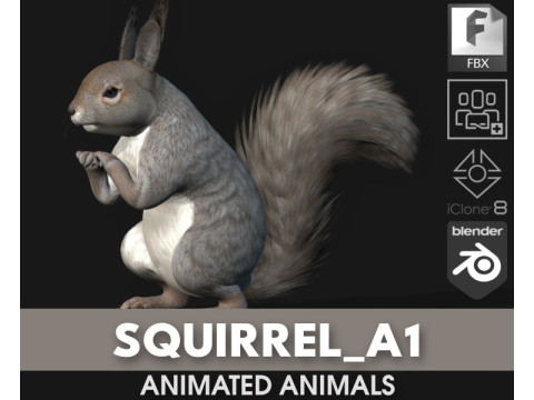 Squirrel-A1 3D Model