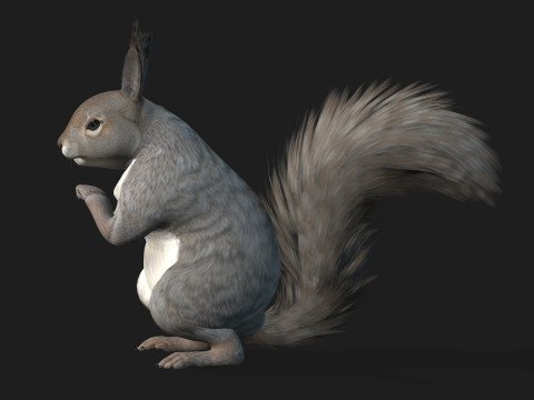 Eekhoorn-A1 3D Model