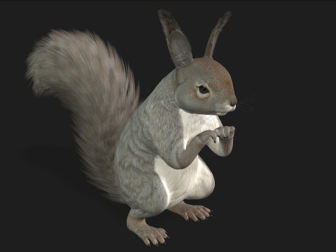 Eekhoorn-A1 3D Model