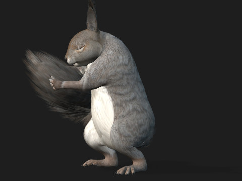 Eekhoorn-A1 3D Model