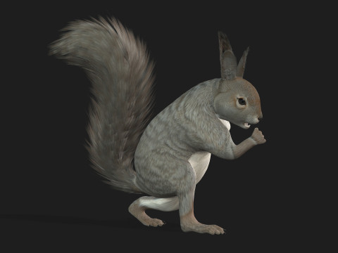 Eekhoorn-A1 3D Model