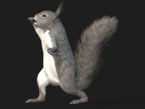 Eekhoorn-A1 3D Model