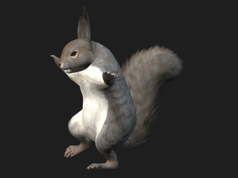 Eekhoorn-A1 3D Model