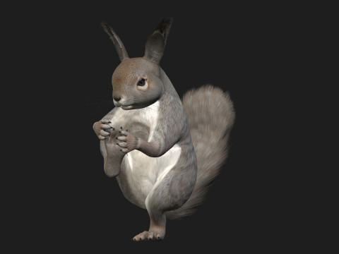 Eekhoorn-A1 3D Model