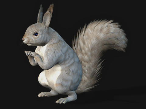 Eekhoorn-A2 3D Model