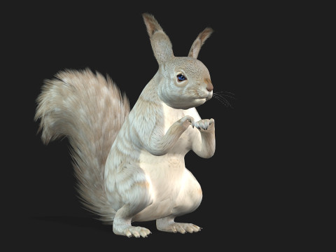 Eekhoorn-A2 3D Model