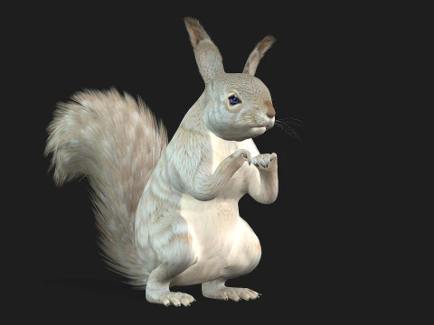 Scoiattolo-A2 Modello 3D