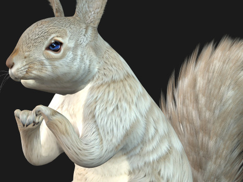 Eekhoorn-A2 3D Model