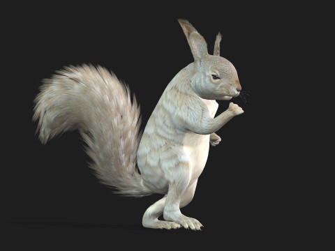 Eekhoorn-A2 3D Model