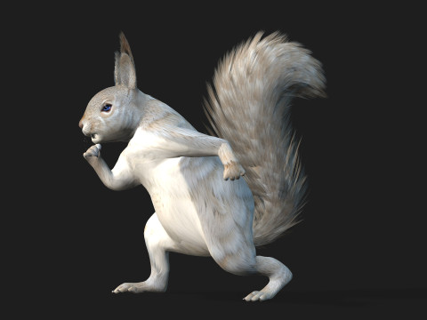 Eekhoorn-A2 3D Model