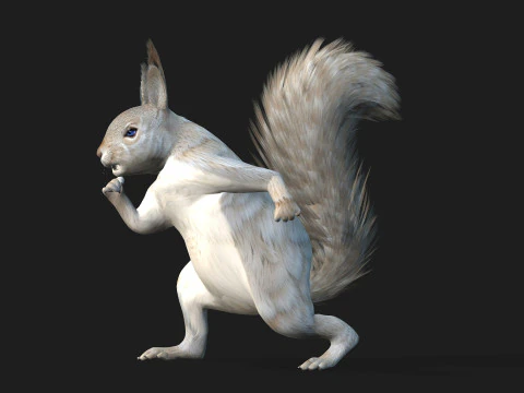 Scoiattolo-A2 Modello 3D