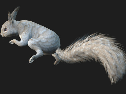 Eekhoorn-A2 3D Model