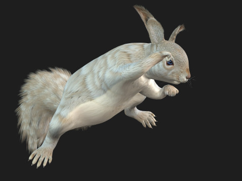 Eekhoorn-A2 3D Model