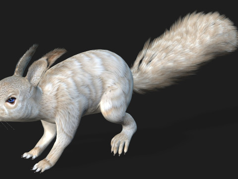 Eekhoorn-A2 3D Model