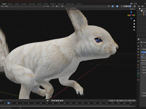 Scoiattolo-A2 Modello 3D