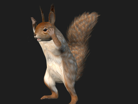 Squirrel-A3 3D Model