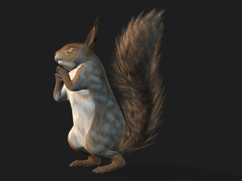 Squirrel-A3 3D Model