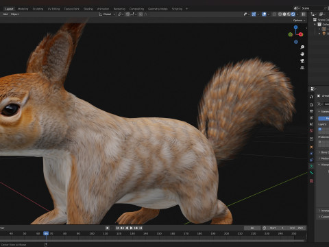 Squirrel-A3 3D Model