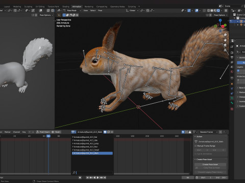 Squirrel-A3 3D Model