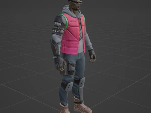 Tango-Fortnite Modello 3D