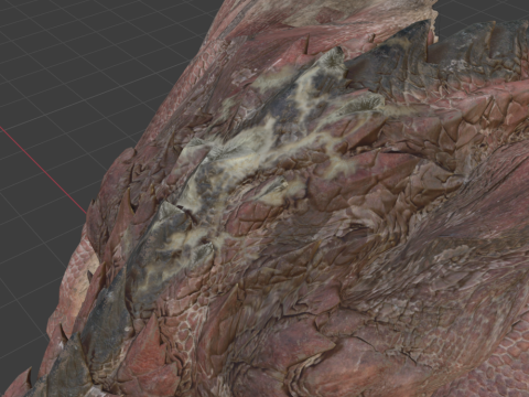 Rathalos - Monster Hunter World 3D Модель
