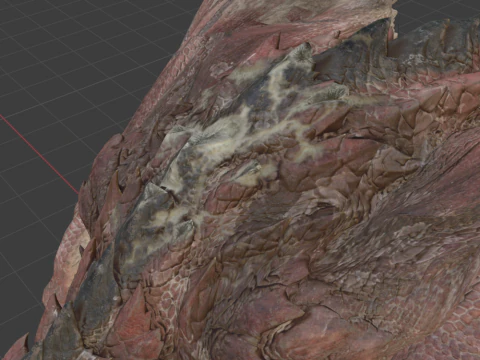Rathalos - Monster Hunter World 3D Model