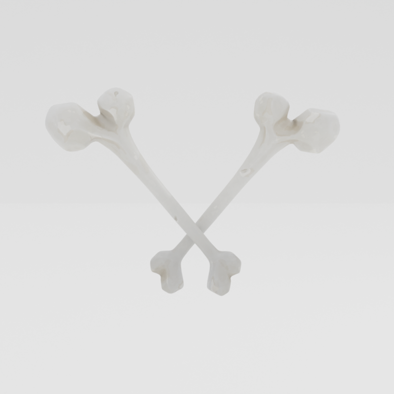 Beef Bone - Fortnite 3D Model .c4d .max .obj .3ds .fbx .stl .blend 