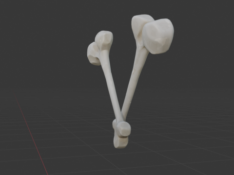 Beef Bone - Fortnite 3D Model