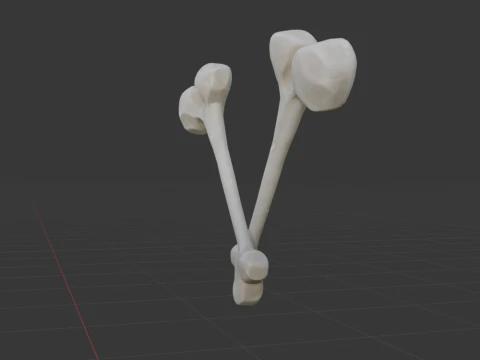 Beef Bone - Fortnite 3D Model
