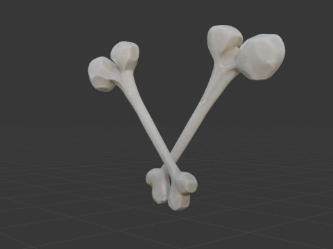 Beef Bone - Fortnite 3D Model