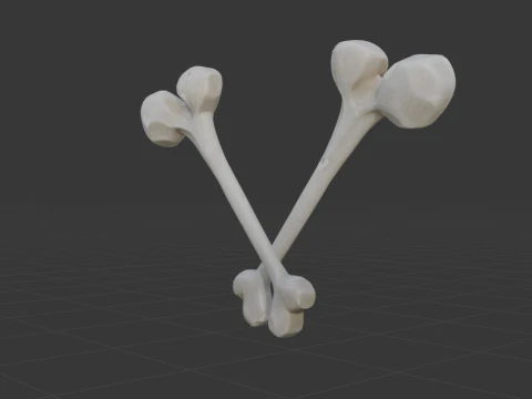 Beef Bone - Fortnite 3D Model