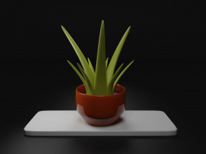 Potted Plant 3D मॉडल