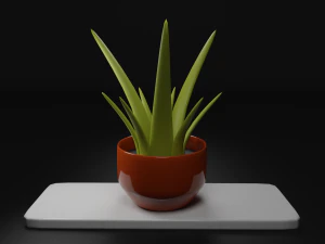Potted Plant 3D Model