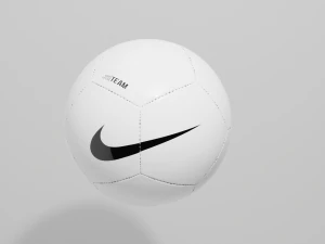 Sepak Bola Tim Pitch Nike 21 Model 3D