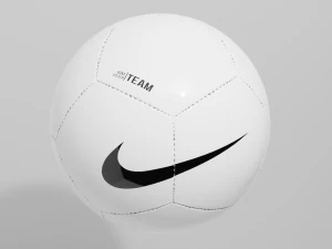 Nike Pitch Team 21 Football 3D Model
