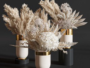 Flower Set 010 Pampas 3D Model