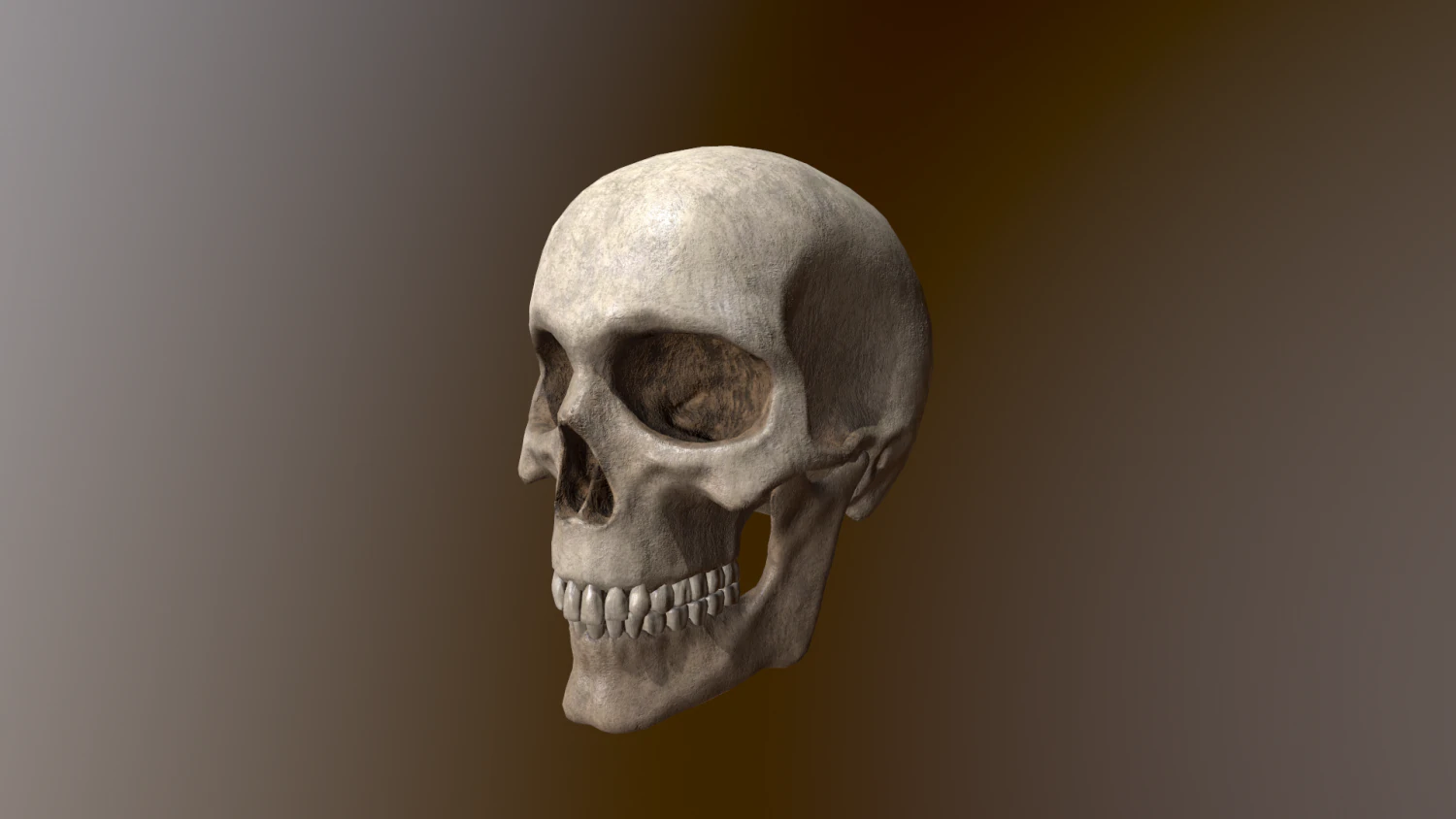 Human Skull Low Poly Low-poly 3D Model .c4d .max .obj .3ds .fbx .stl .blend 