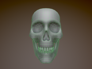 Human Skull Low Poly Low-poly 3D 모델