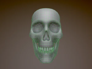 Human Skull Low Poly Low-poly 3D Model
