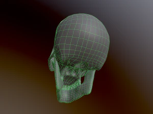 Human Skull Low Poly Low-poly 3D Model