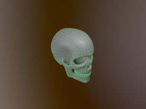 Human Skull Low Poly Low-poly 3D 모델