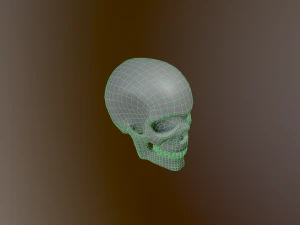 Human Skull Low Poly Low-poly 3D Model