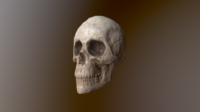 Human Skull Low Poly Low-poly 3D Model .c4d .max .obj .3ds .fbx .stl .blend 