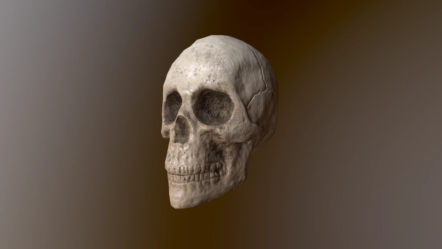 Human Skull Low Poly Low-poly 3D Model .c4d .max .obj .3ds .fbx .stl .blend 