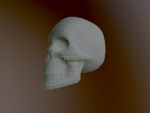 Human Skull Low Poly Low-poly 3D Model